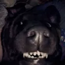minosleanderdarius