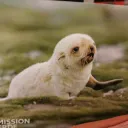 er1k0n