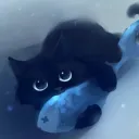 dev_blackcat