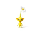 ashketchumm