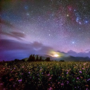 avatar no, i’m not human