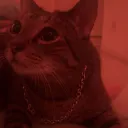 zombtk