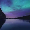 magical_cheetah_64308