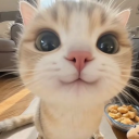 avatar ❂𐂷 ʝƸƝƝƳ𐒄𐤠ƝƸȴȴƖ 𐂷❂