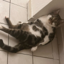 avatar 𝕵𝖊𝖓𝖓𝖞𝕸𝖆𝖓𝖊𝖑𝖑𝖎