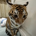 avatar Playboi Dave </3³