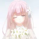 irisfb