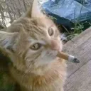 mlksinistr0u