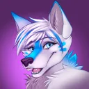Image for thecutefoxxy