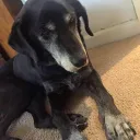 slatertime