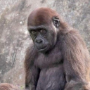 my_wash_burn150's Avatar