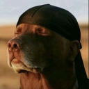 0d54a4eb78d5cb9f690e1bae415d41aa