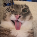 avatar CocainePussyCat