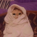 avatar GothGirlPiss✨