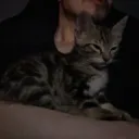 nixzxin