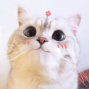 pynamicmo member profile picture