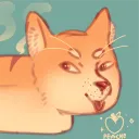 __sapujapu avatar
