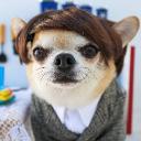 https://cdn.discordapp.com/avatars/642473824343949312/bc6460bdd66d83faf642e397143b280c.jpg?size=128