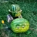 awildemerald
