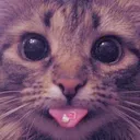 raemfg
