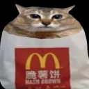 hashs9