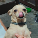 Discord Avatar