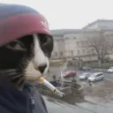 _viad