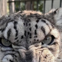 avatar 🧑🏻‍🍳