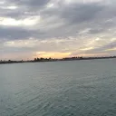 tallpelican