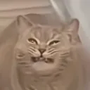 samuou_8809のアバター