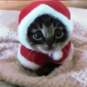 avatar D o p a m i n a