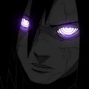 shadows_211