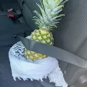 basspiranha