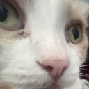 avatar 𓆝 𓆟 kork𓆞 𓆝