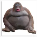 charisma_au