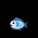 kulraxlovefish