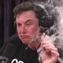 restockelon