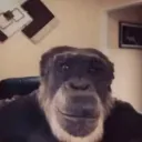 felipe1239016 avatar