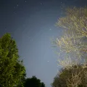 danielsingularity