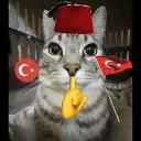 ✦ Çınar | 21
