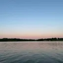 xcvdr