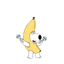 shens1rk