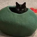 mycocat