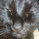 Photo de profil de aaron5987.