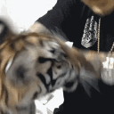 avatar ブラッドリー🌙