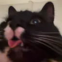 lewbulla