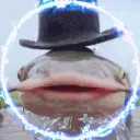 feebus.