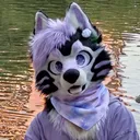 askara.fluffball