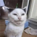 avatar Dương Lỗi