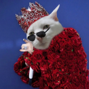 avatar Dương Lỗi